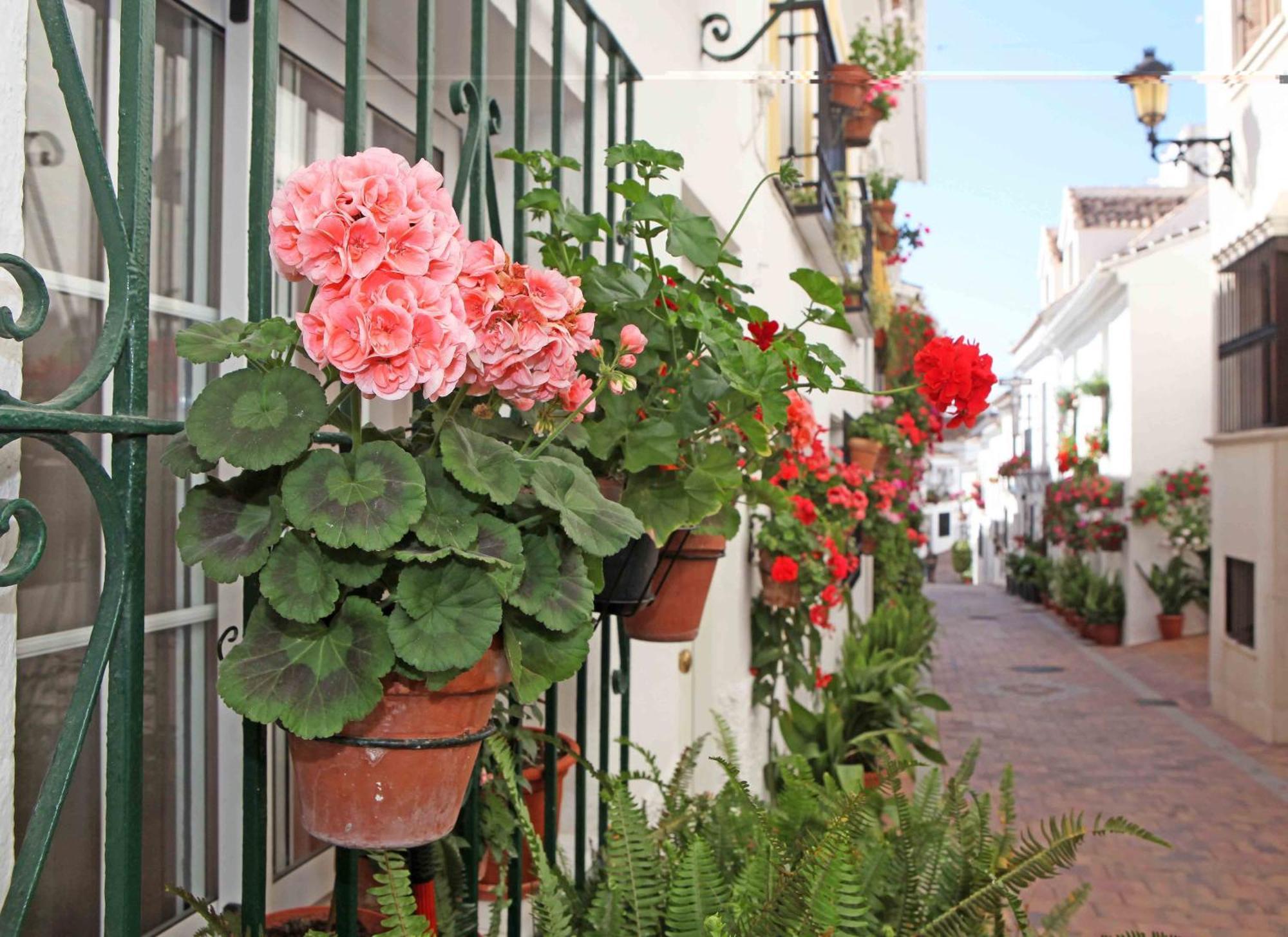 La Posada Hotel Benalmádena Exterior foto